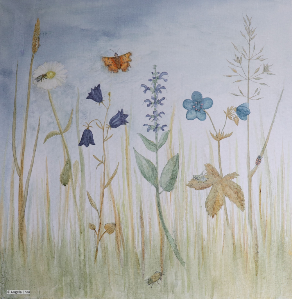 Naturillustrationen - NATUR.ILLUSTRATIONEN.GRAFIK